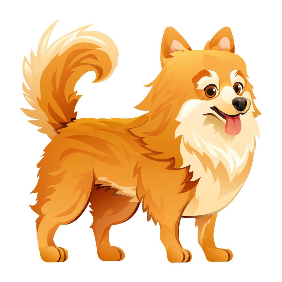 Cute pomeranian dog vector cartoon illustration