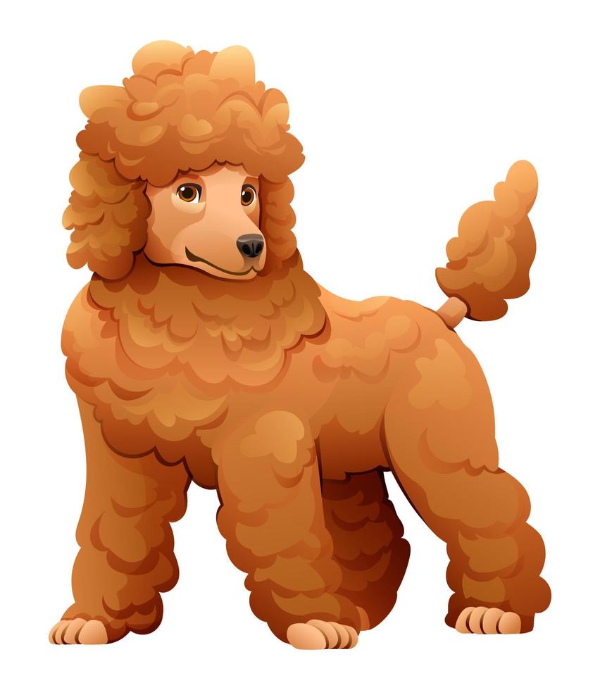 Poodle dog vector cartoon illustration