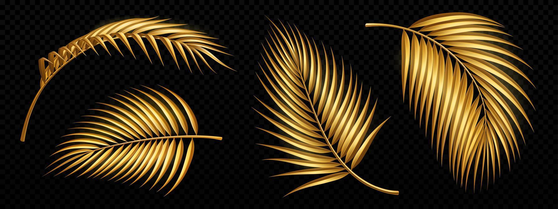 Set of golden palm tree leaves isolated on black vector