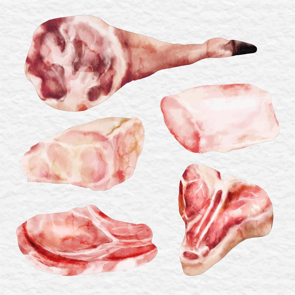 watercolor meat beef and chicken element clip art vector