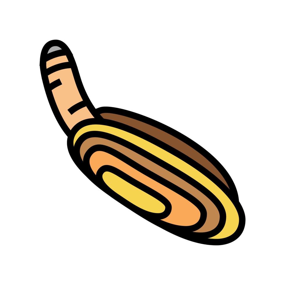 pacific razor clam color icon vector illustration