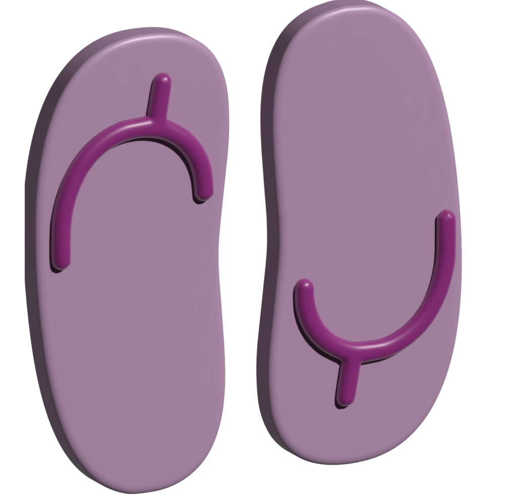 3d illustration av sandal png