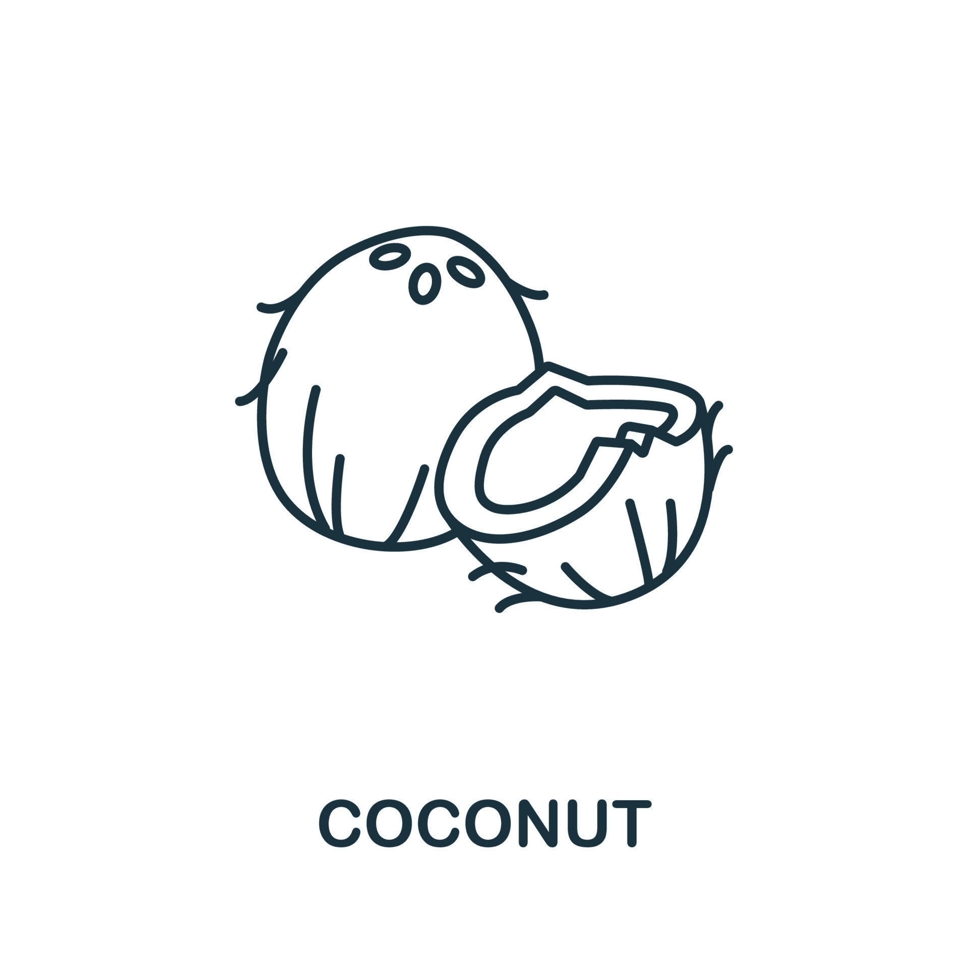 Coconut icon from fruits collection. Simple line element Coconut symbol