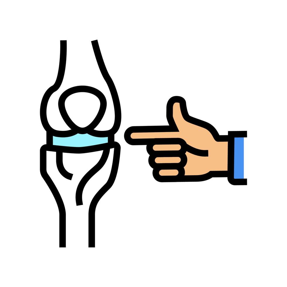 knee-joint radiology color icon vector illustration flat