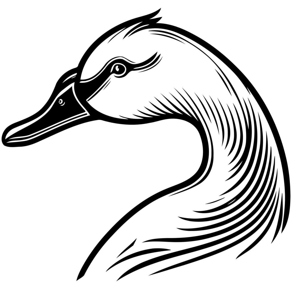 animal head goose a waterfowl bird vector