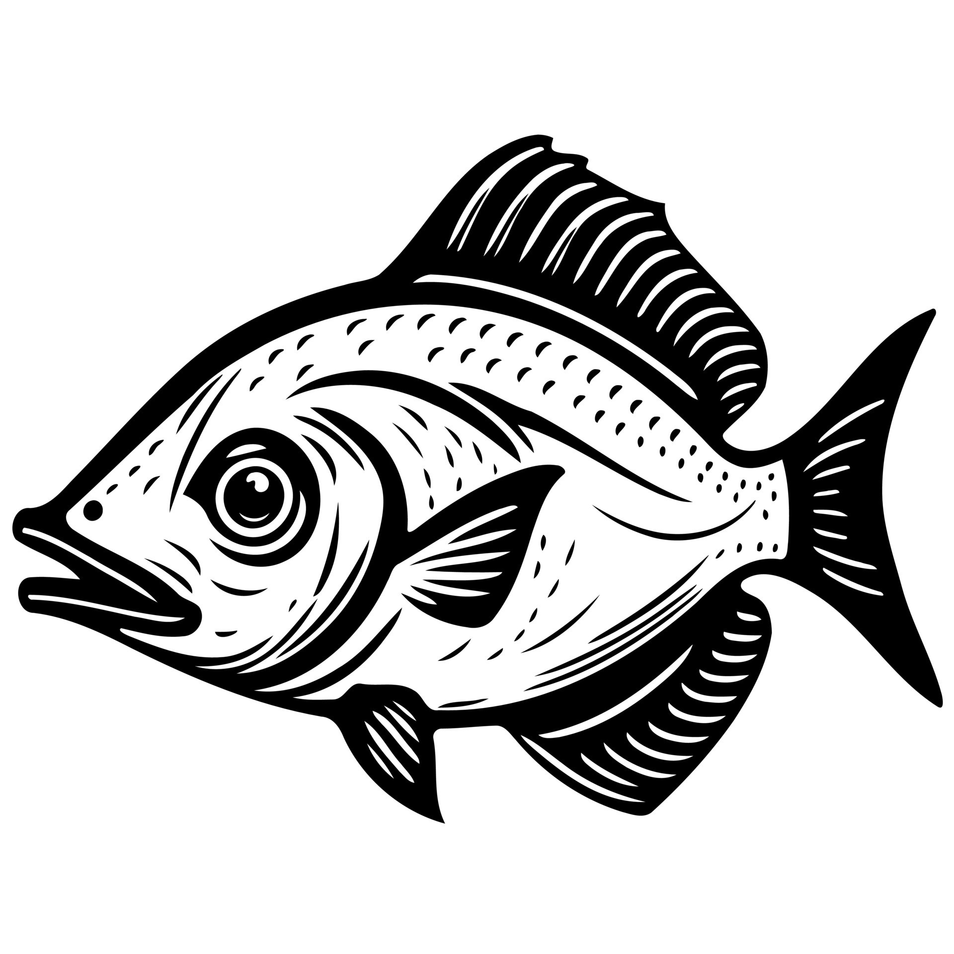 fish aquatic animal 18782390 Vector Art at Vecteezy