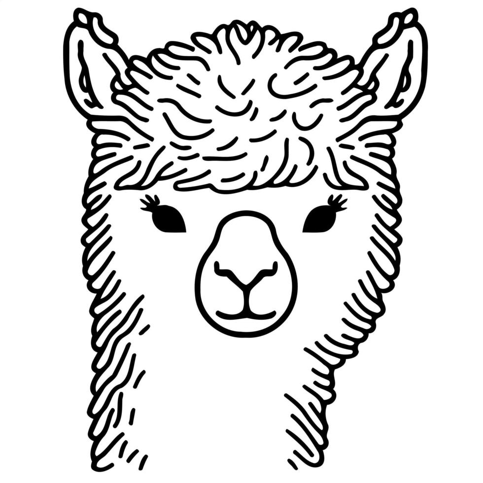 camelid animal head called alpaca vector