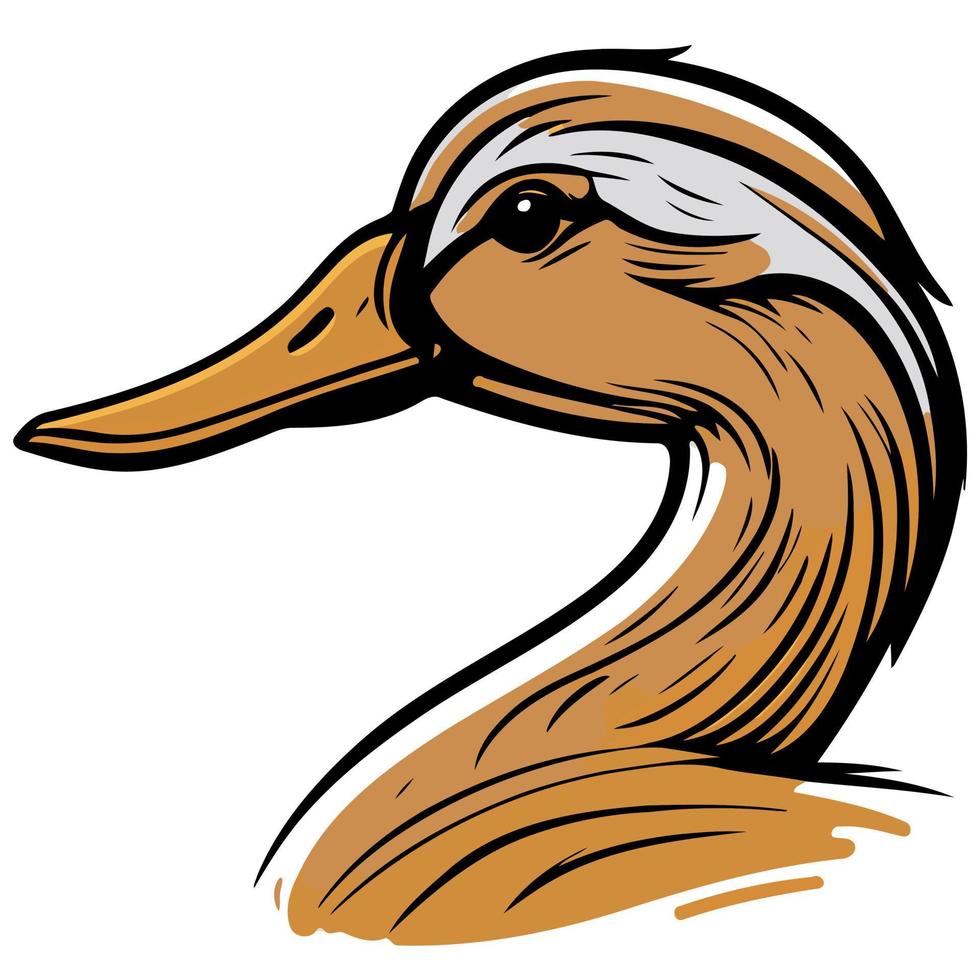 Waterfowl duck animal head vector