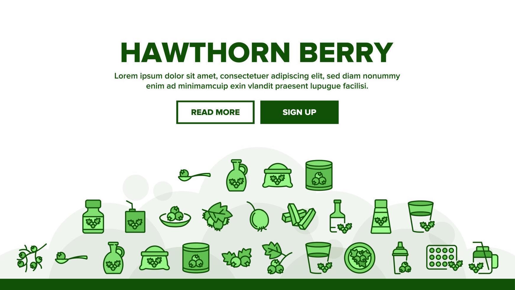 Hawthorn Berry Food Landing Header Vector