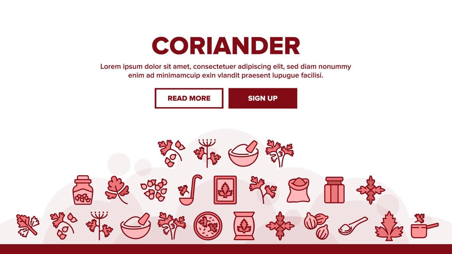 Coriander Herbal Plant Landing Header Vector
