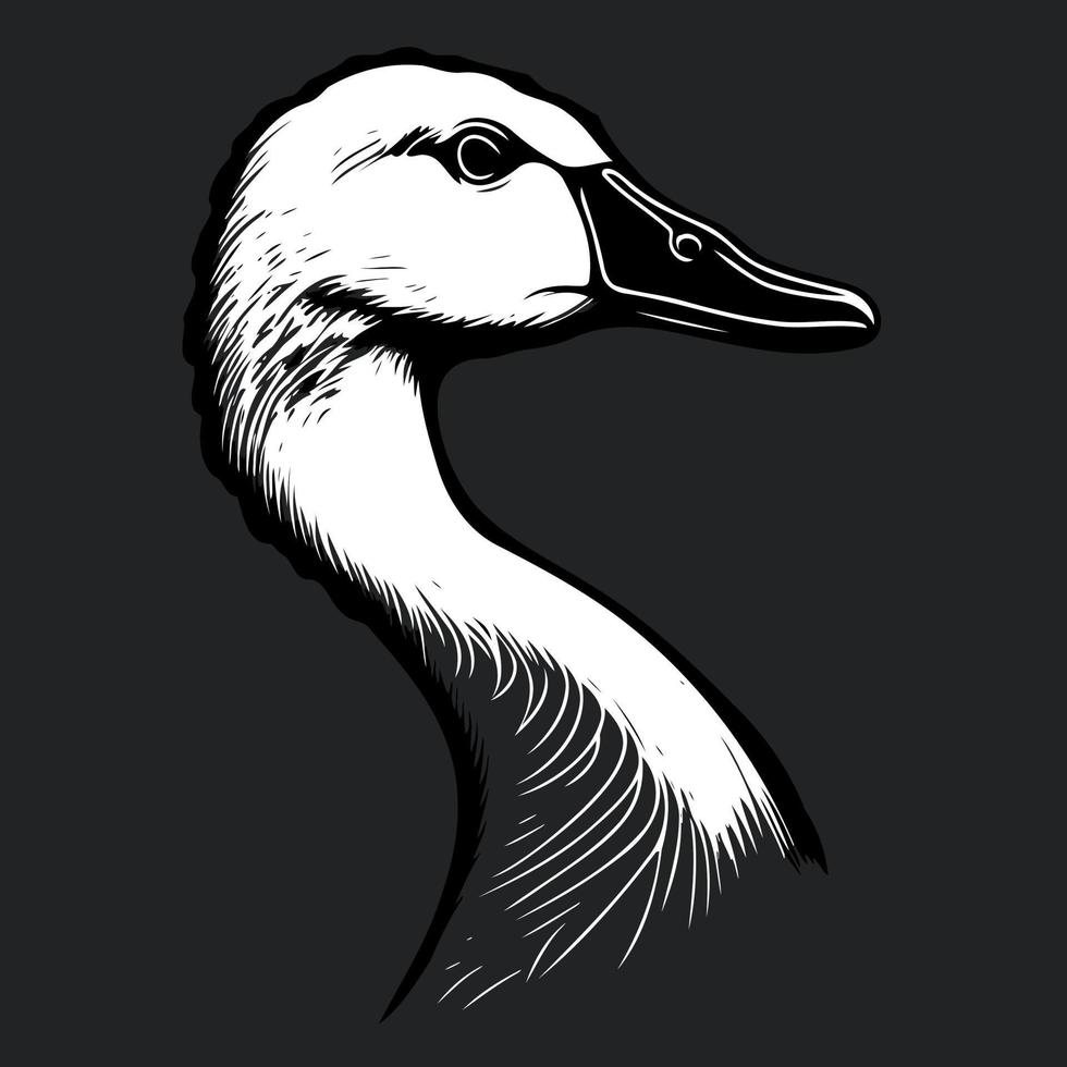 animal head goose a waterfowl bird vector