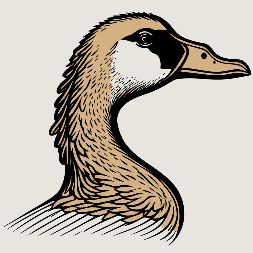 animal head goose a waterfowl bird vector