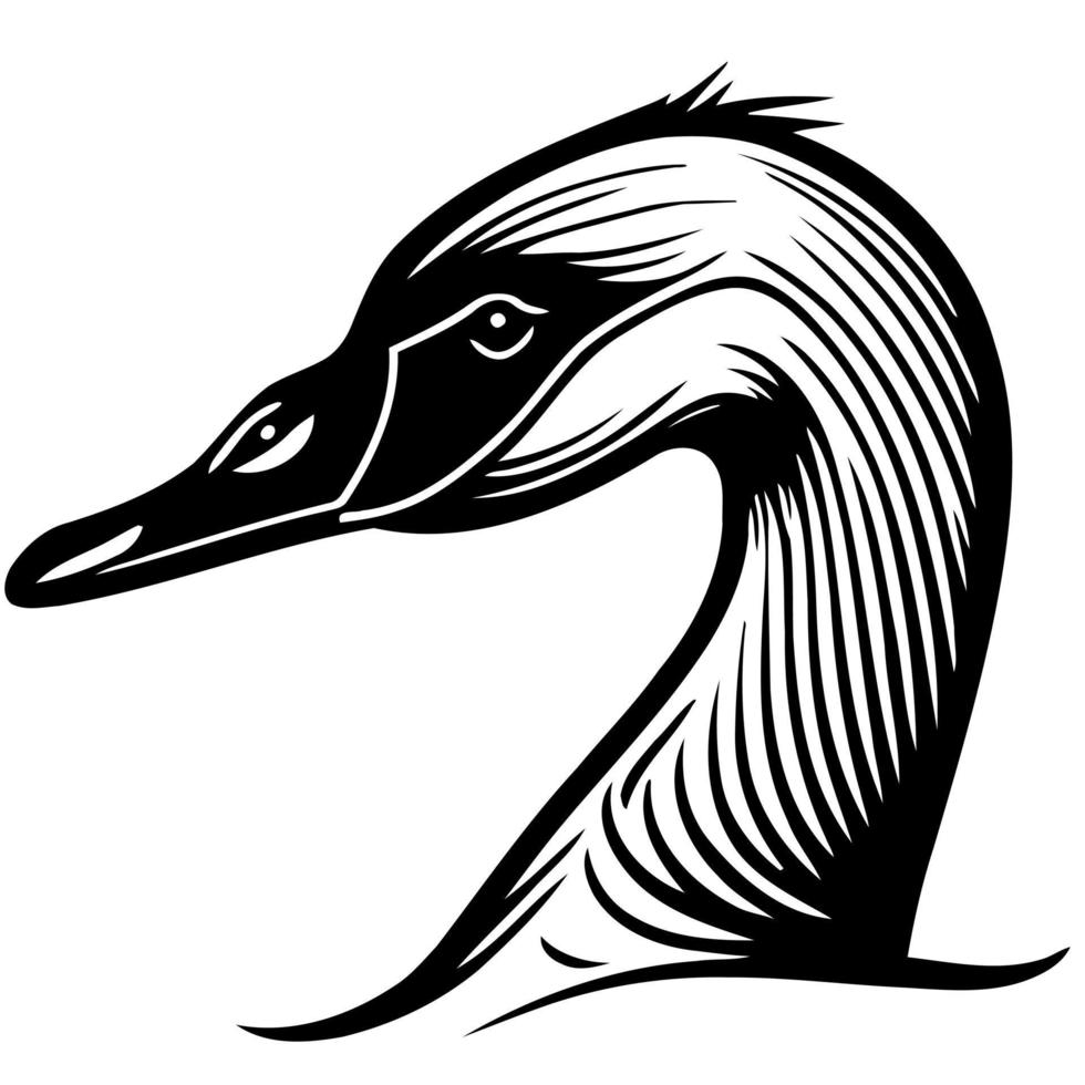 animal head goose a waterfowl bird vector