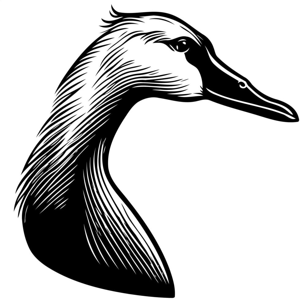 animal head goose a waterfowl bird vector