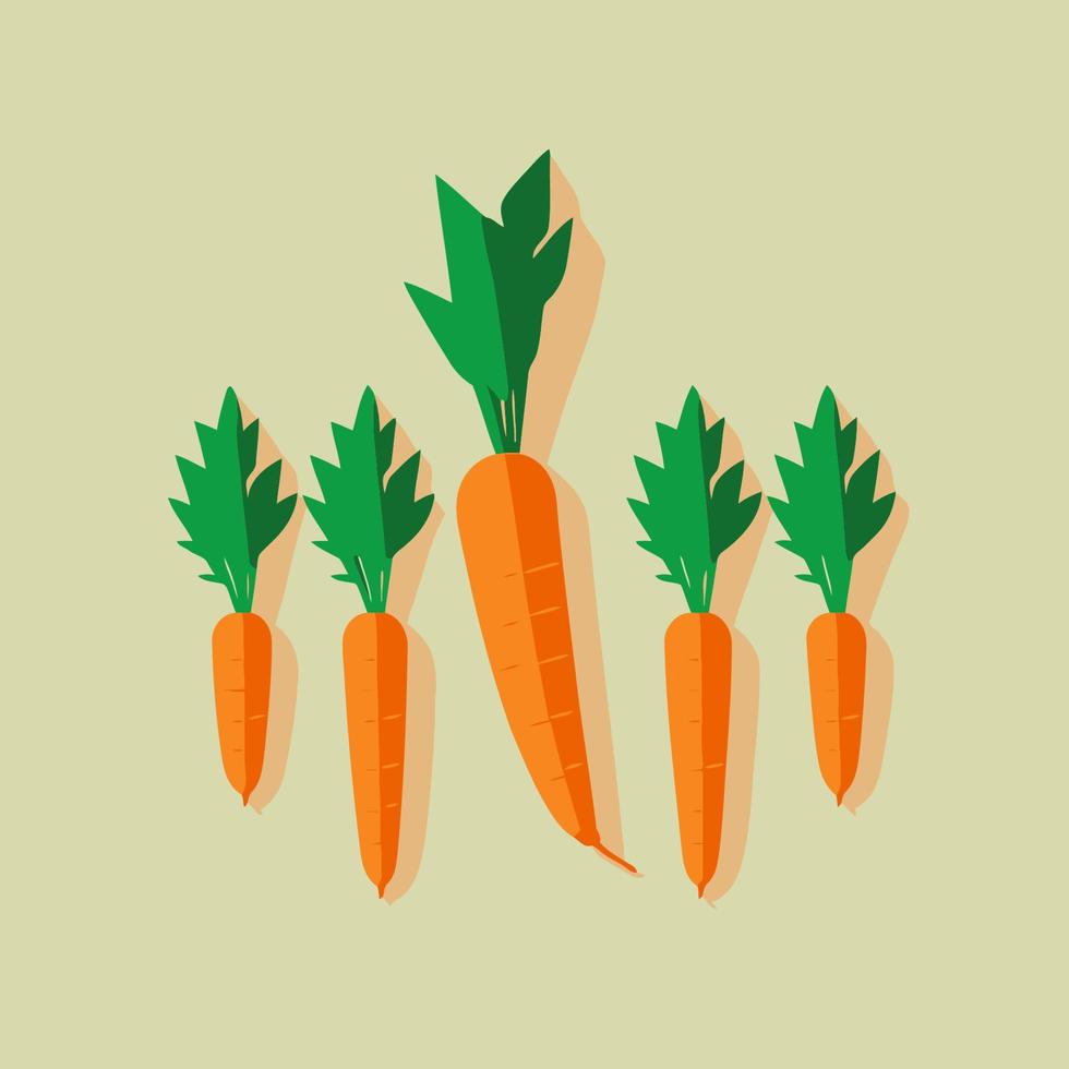 Carrots vegetable orange isolated vector illustration