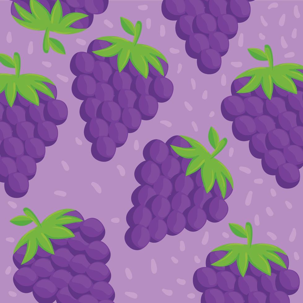 background of fresh grapes fruits vector