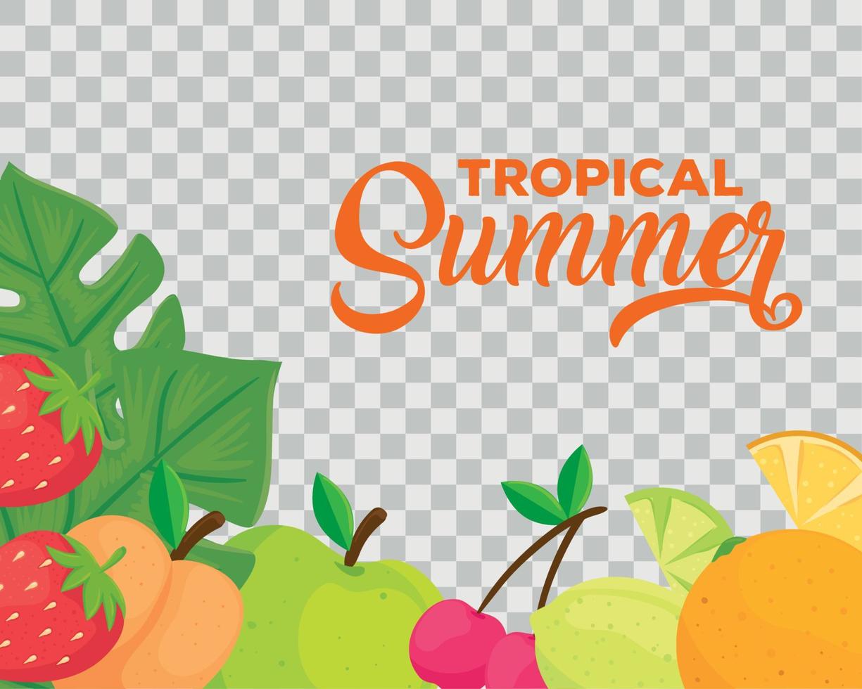 banner de verano tropical y frutas frescas vector