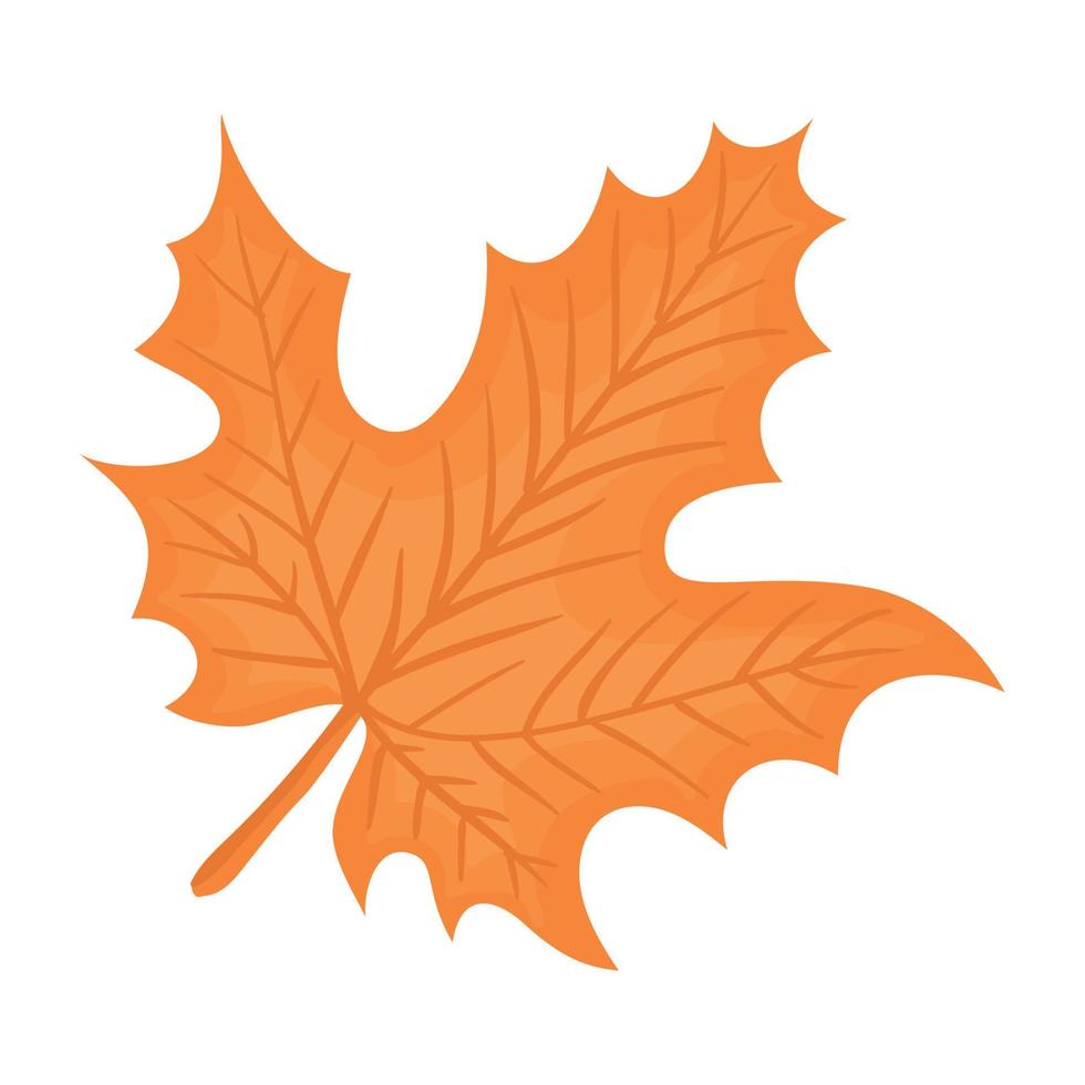 diseño de vector de hoja de otoño aislado