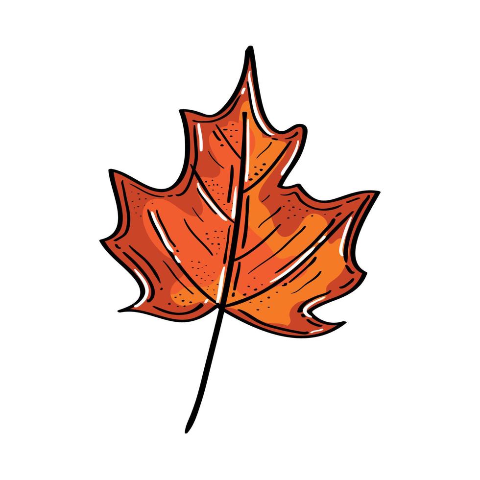 diseño de vector de hoja de otoño aislado