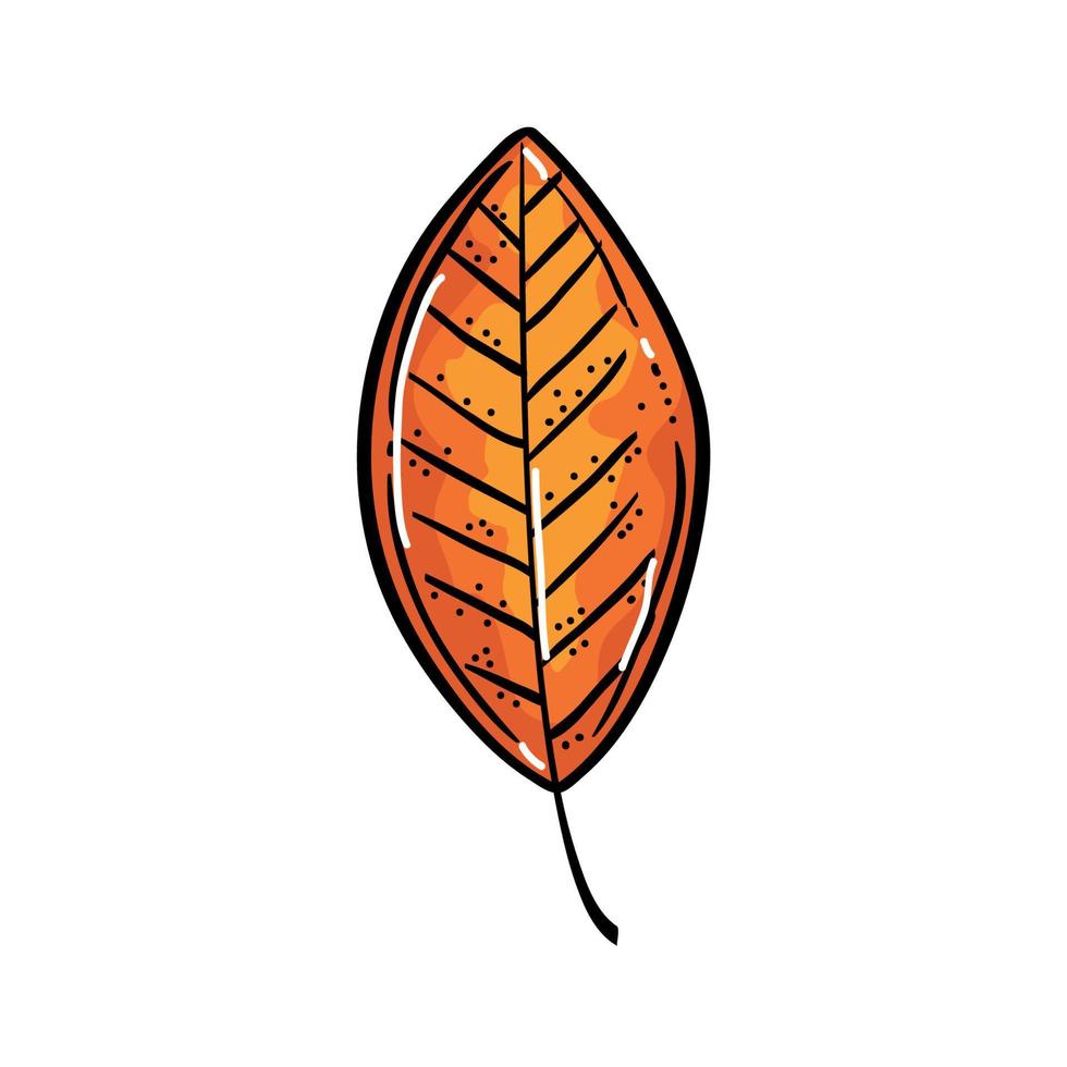 Isolated autumn leaf vector design