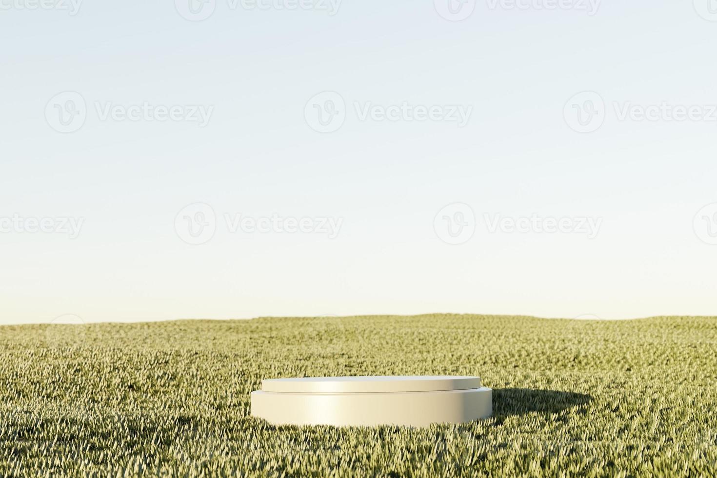 3d background for product display with white podium on 3d rendering photo