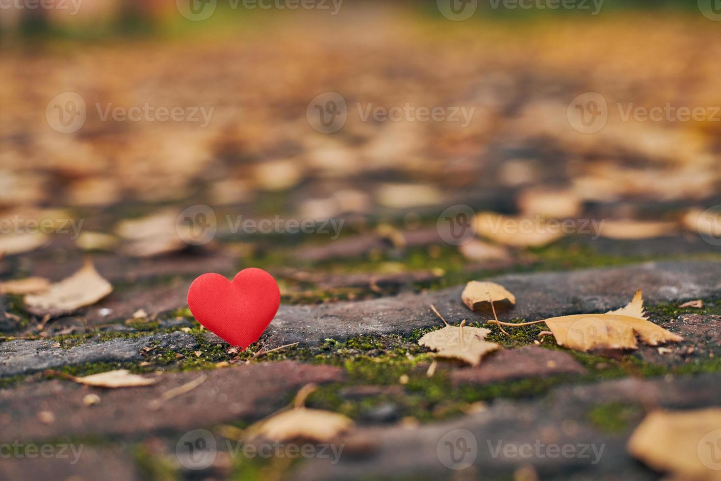 concepto de amor o soledad no correspondido, unilateral. foto