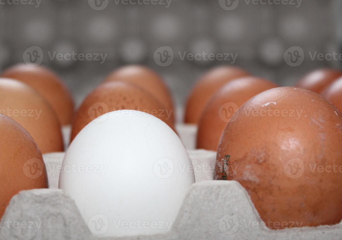 Chicken eggs in carton box isolated on white background. photo