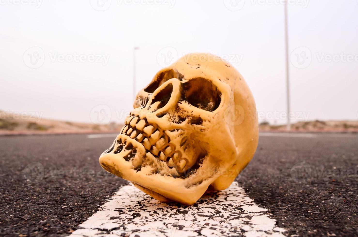 Miniature skull on the road photo