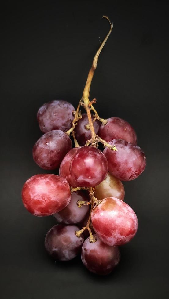 Portrait of vitis vinifera or grape fruits isolated on black background, close up view. photo