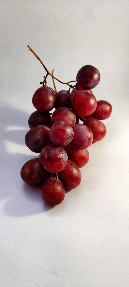 Fresh vitis vinifera fruits just picked from the vineyard, closeup view. photo