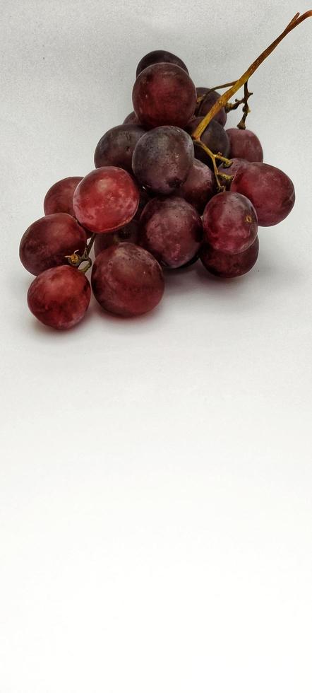 Portrait of fresh vitis vinifera fruits just picked from the vineyard, closeup view. photo