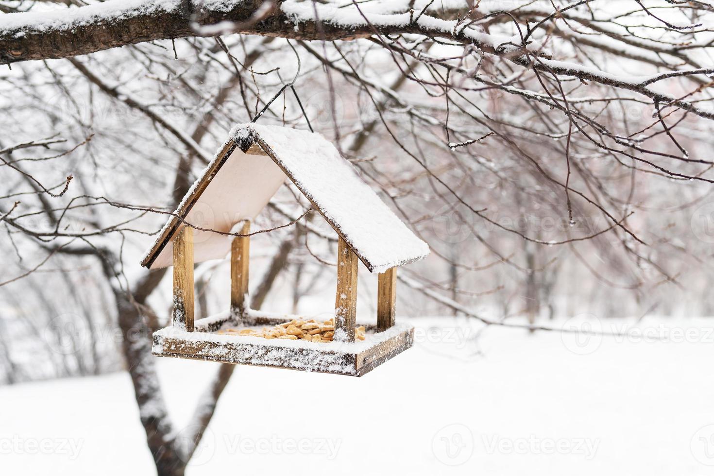 A beautiful small garden with a bird feeder, feeding in the winter time at the bird feeder. Snowy winter day in the garden. photo