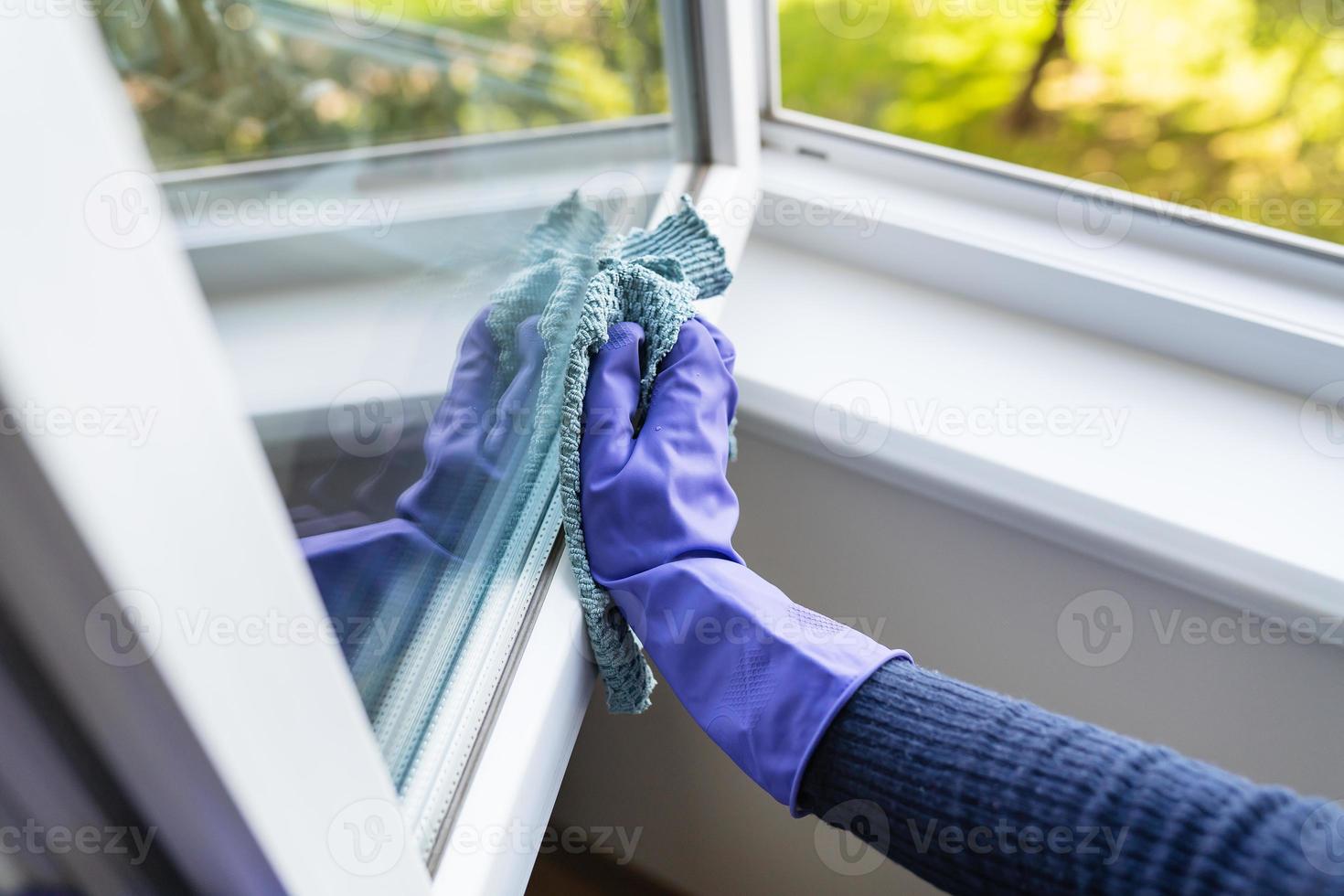 Cleaning and cleaning concept. A young girl in purple gloves wipes the dust on the windowsill and window with a rag. photo
