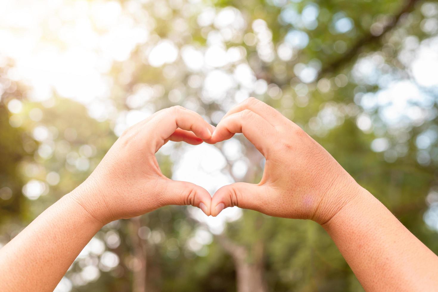 Two hands intertwined in a heart shape, nature background. photo