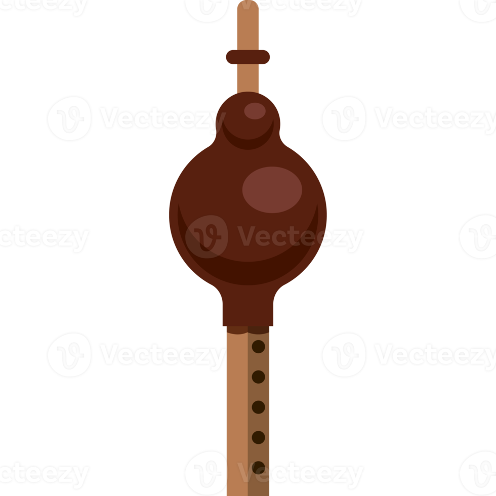 India famous musical instrument png