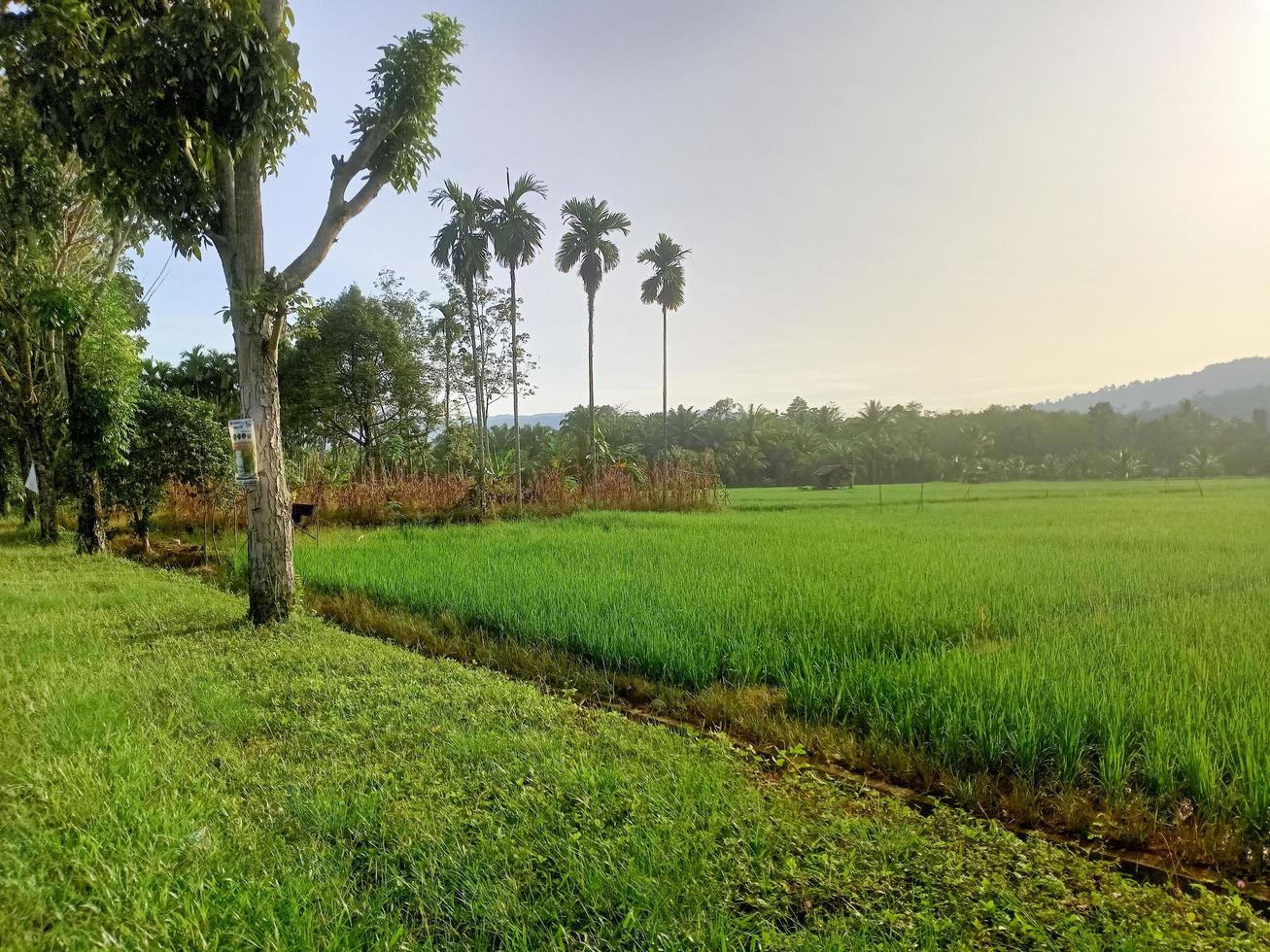 beautiful natural scenery during the day, the sky is blue, the clouds photo