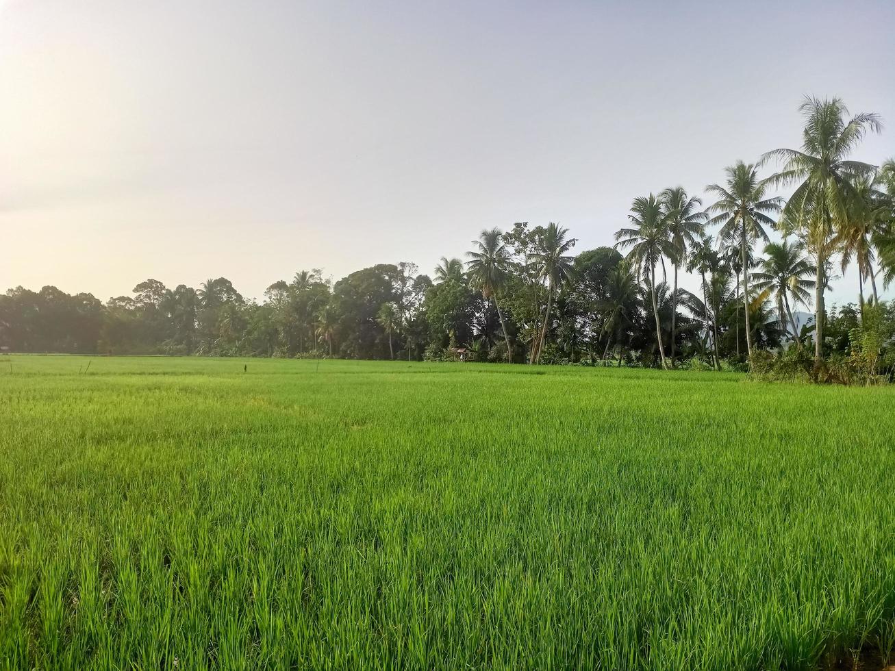 Beautiful natural scenery during the day, the sky is blue, the clouds photo
