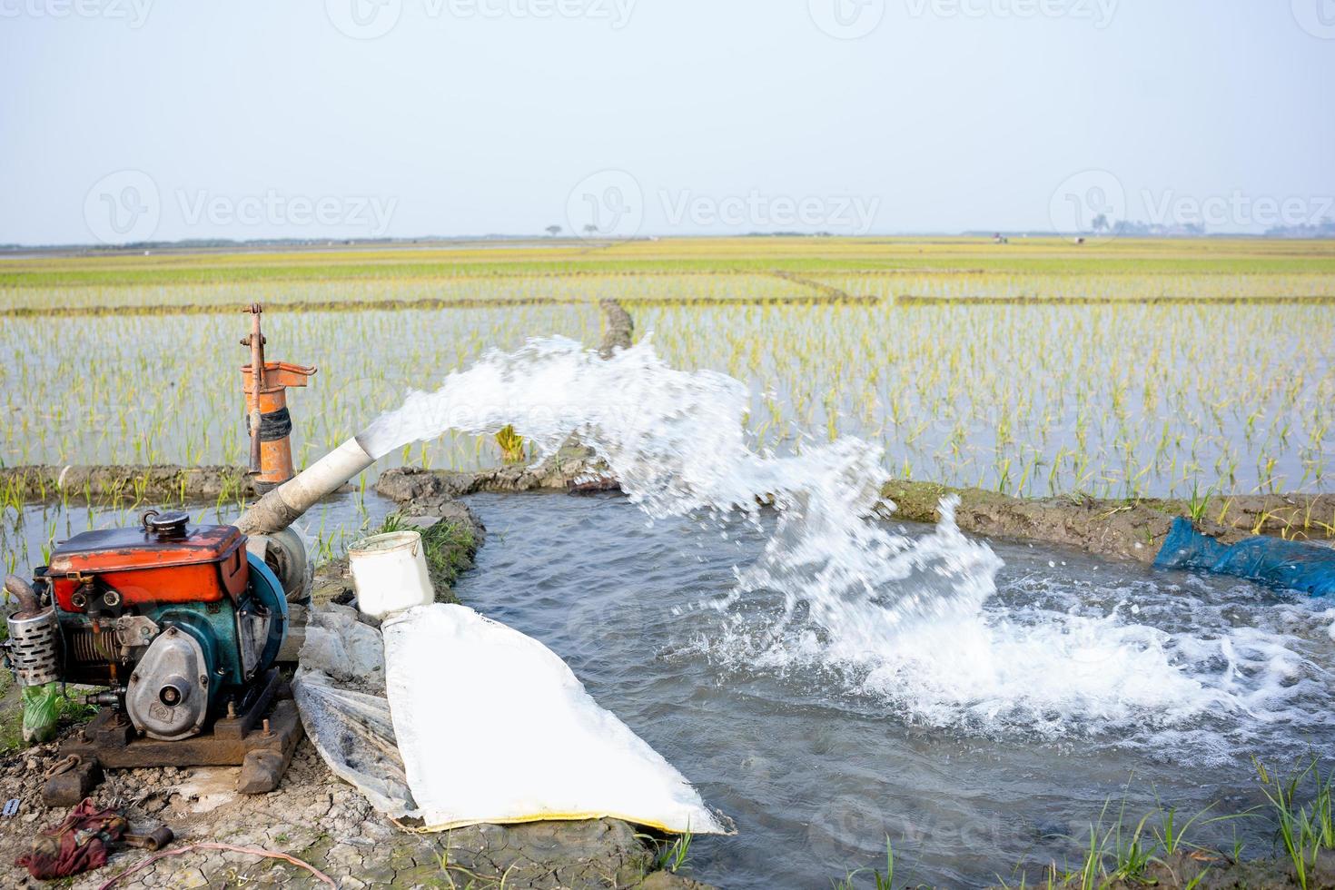 Irrigation of rice fields using pump wells with the technique of pumping water from the ground to flow into the rice fields. The pumping station where water is pumped from a irrigation canal. photo