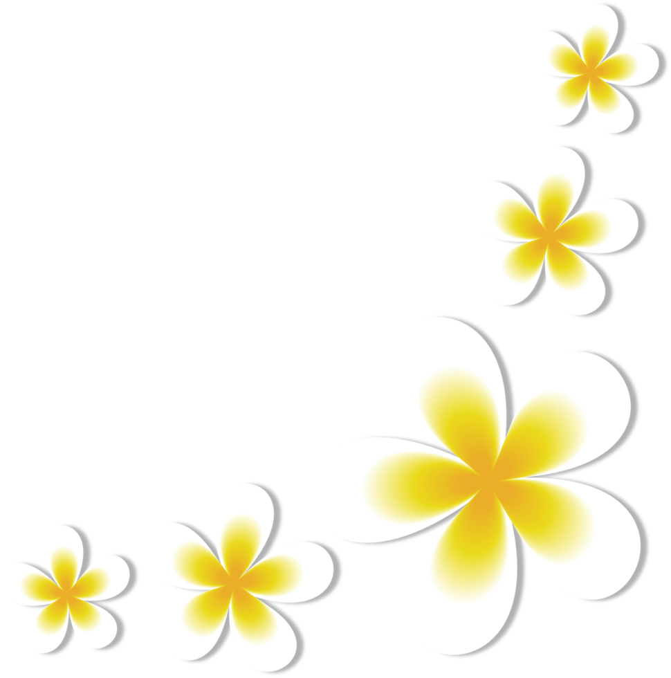 white and yellow frangipani flowers png