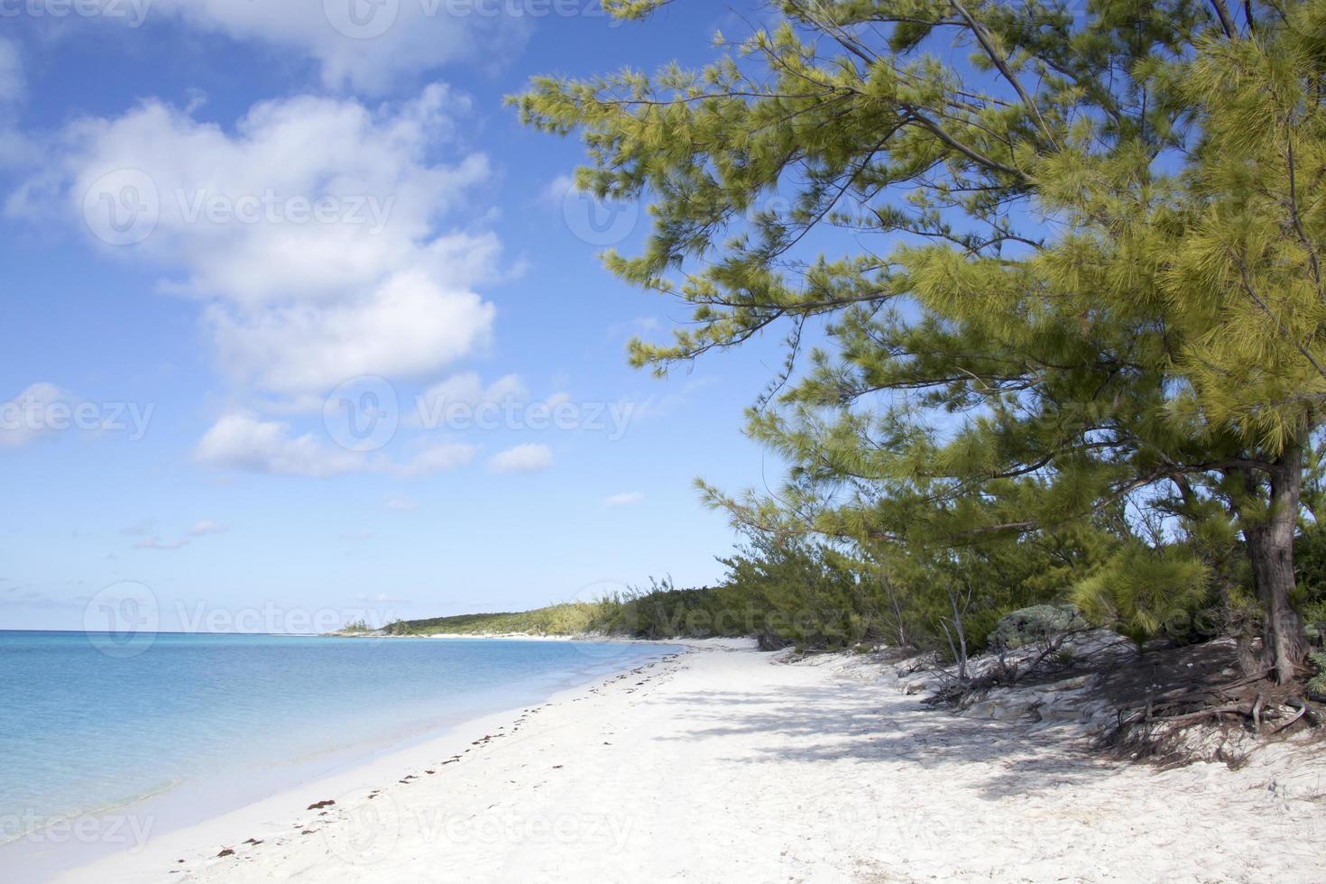 Half Moon Cay Island Empty Beach With Trees photo