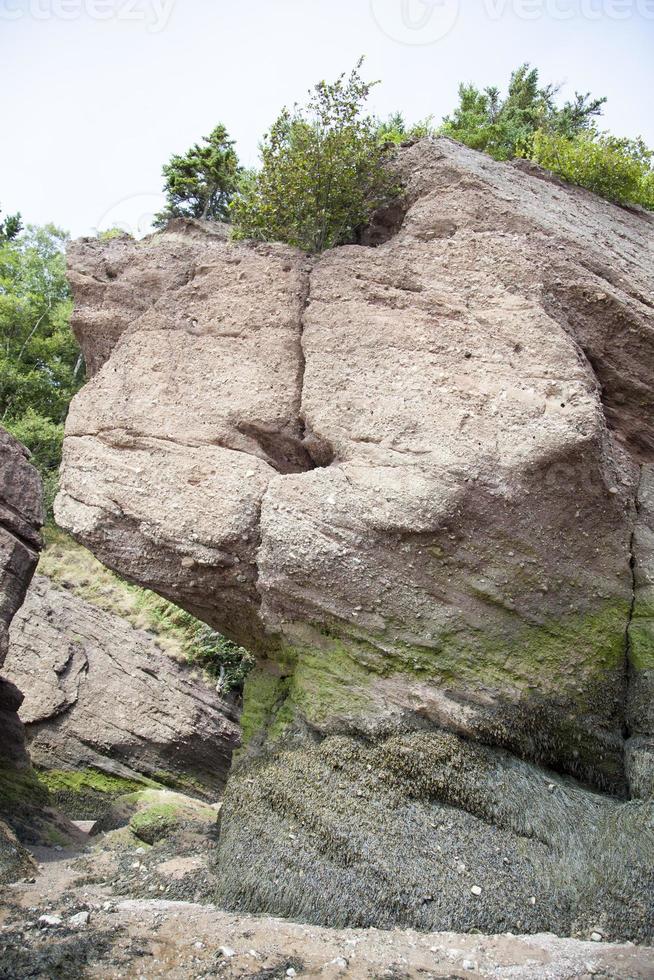 Hopewell Rocks Eroded Structure During The Low Tide photo