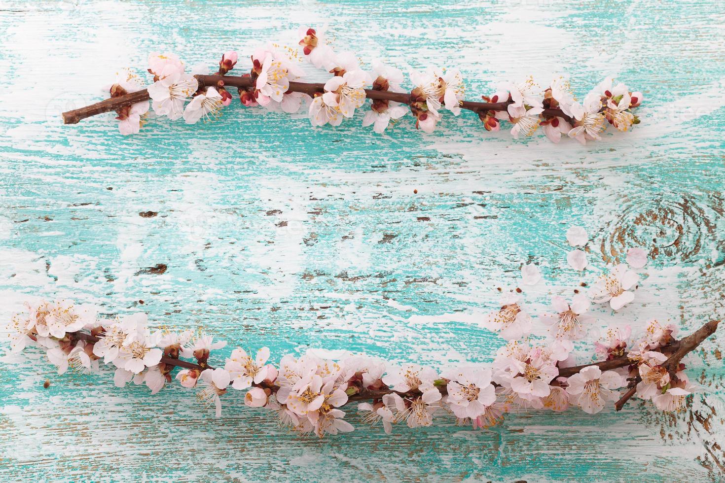 frame with flowering branches on wooden board photo