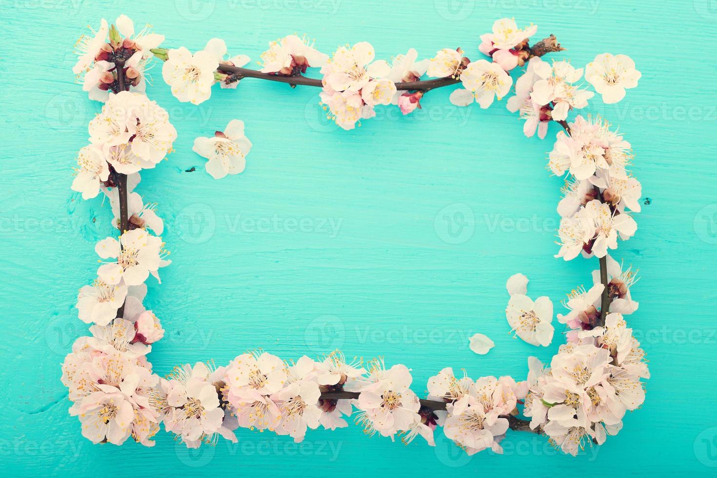 frame with flowering branches on wooden board photo