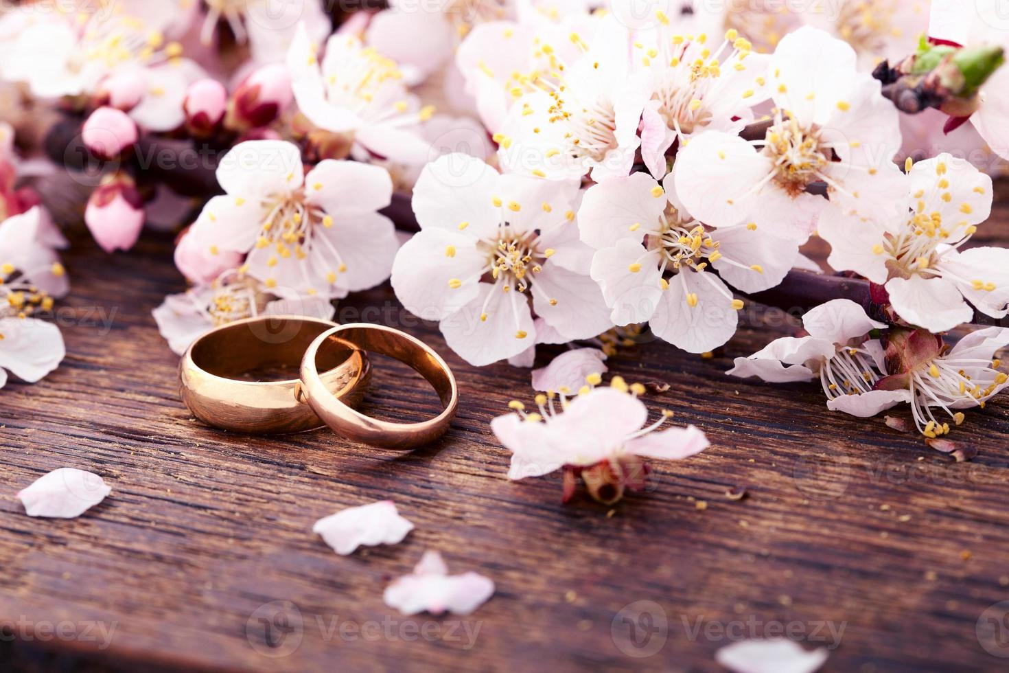 Wedding rings. Spring. Flowering branch on wooden surface. photo