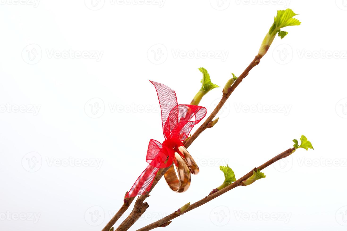 Wedding decoration rings with red ribbon. photo