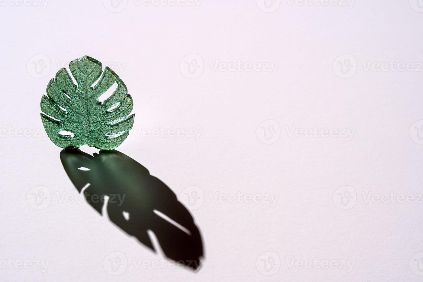 Creative minimalistic composition, green leaf with a hard shadow on a white background photo