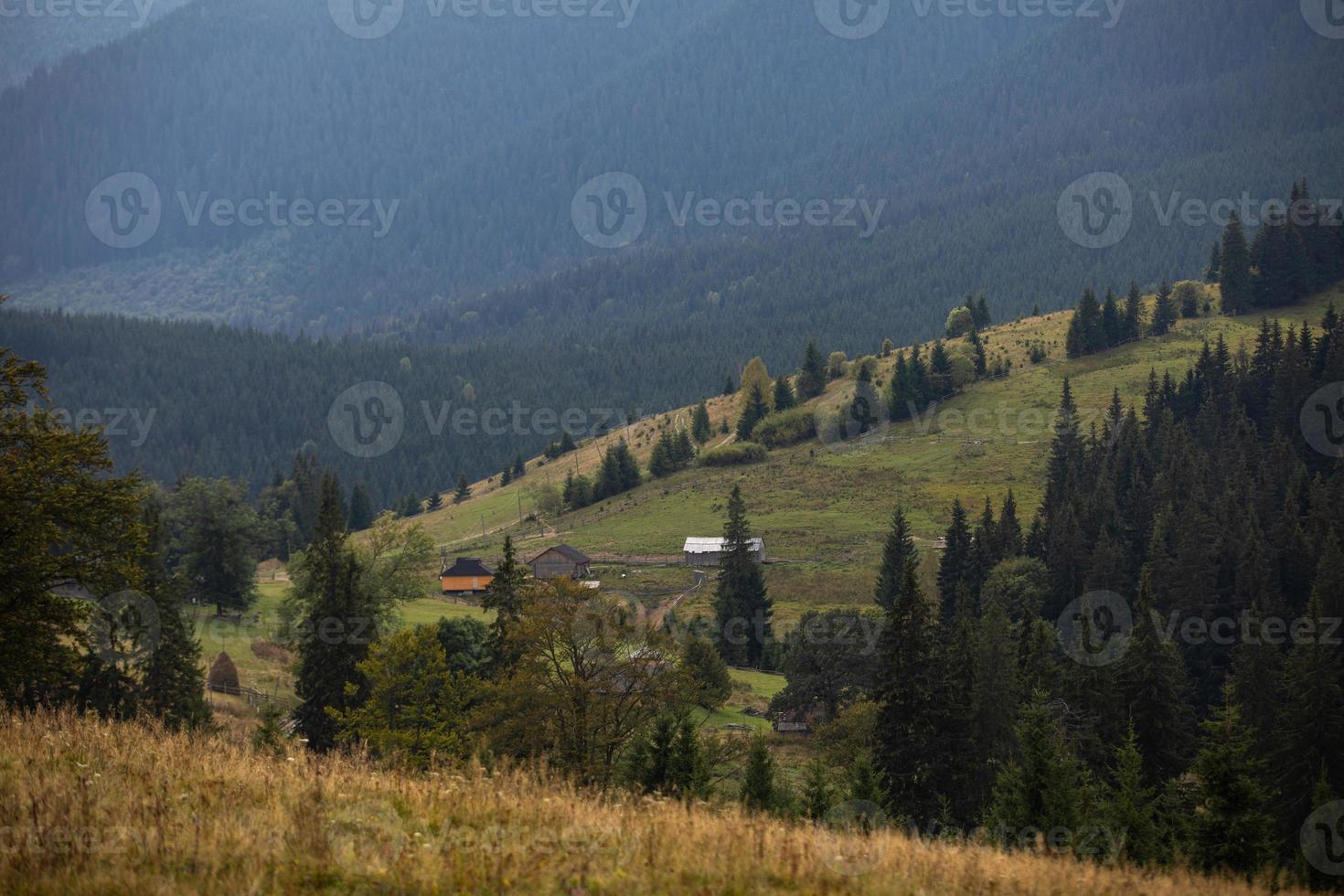 Magnificent view the coniferous forest on the mighty Carpathians Mountains and beautiful cloudy sky background. Beauty of wild virgin Ukrainian nature, Europe. Popular tourist attraction. photo