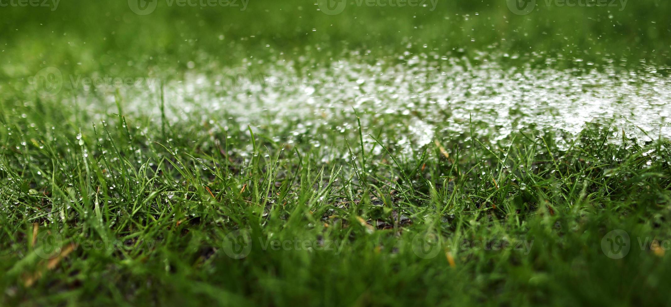 Watering the lawn with water in summer. gardening concept. drops of water from the ameliorative irrigation system are fed to grow ing garden plants against a sunny day photo
