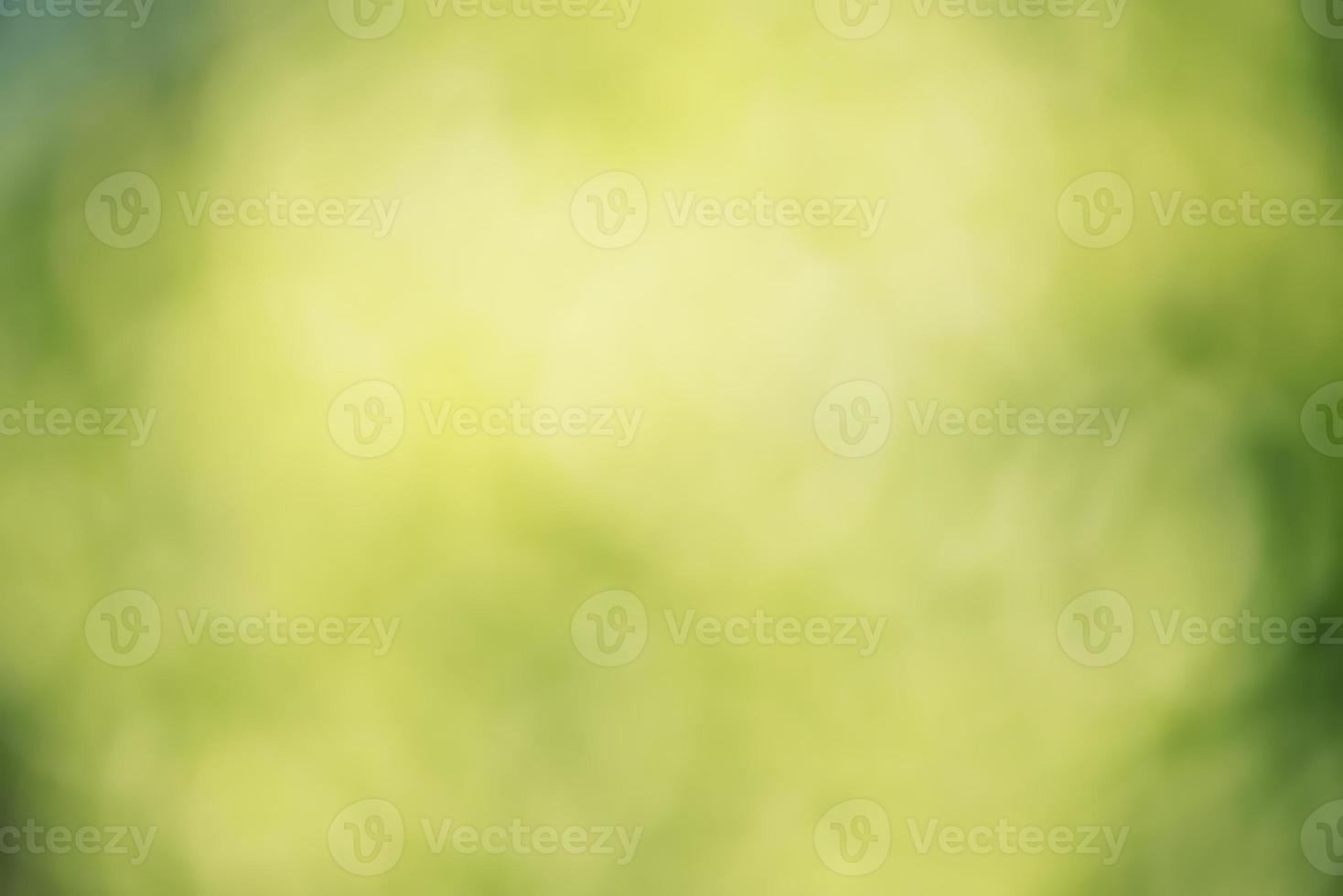 Defocused green natural background. Abstract background defocus light blurred green leaves. photo