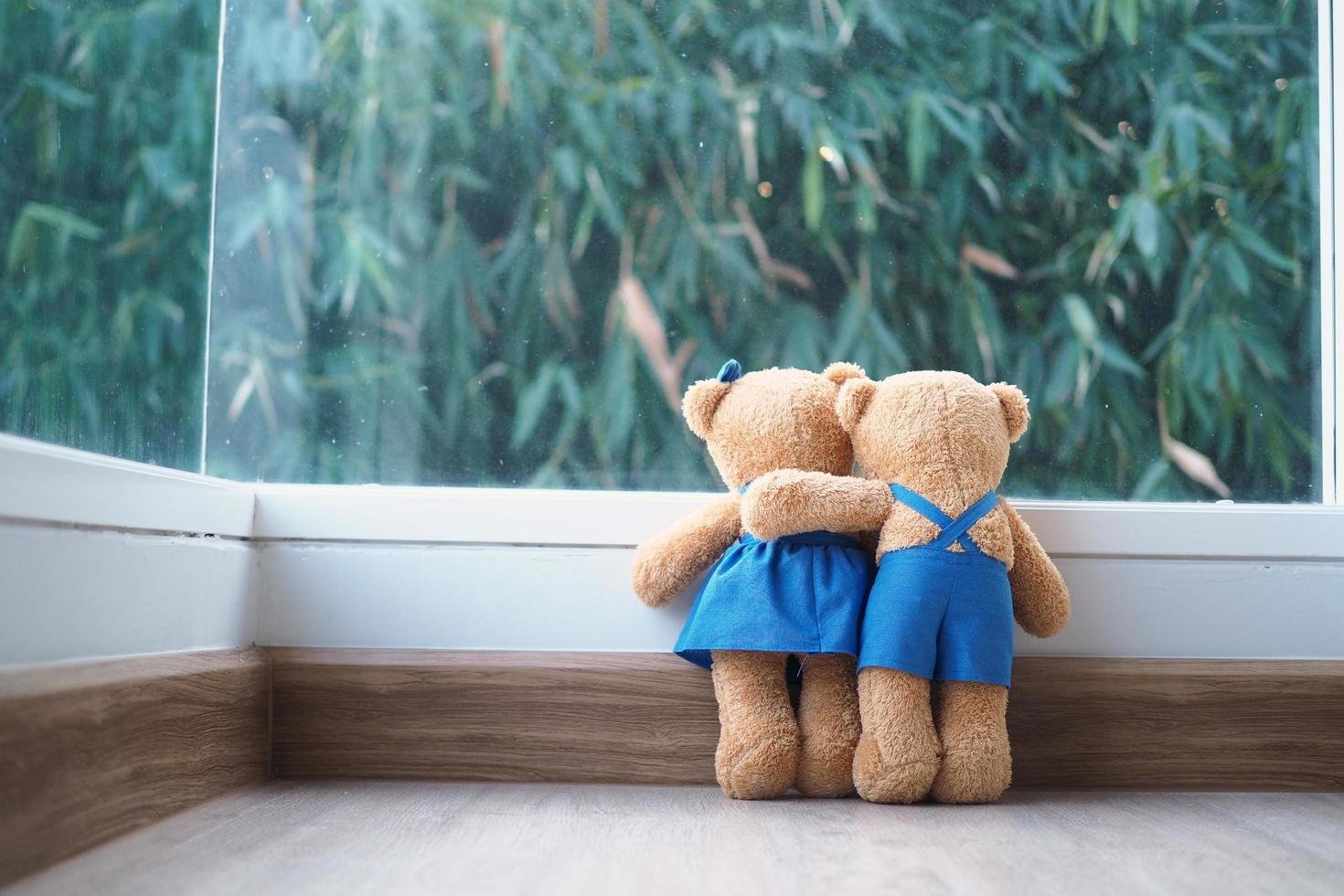 la amistad y la relación de dos osos de peluche se abrazan, mirando la vista del bambú en la ventana. foto